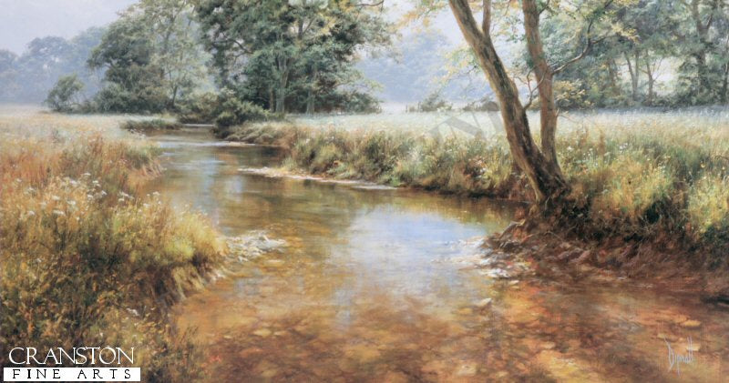 Idle Waters by David Dipnall.