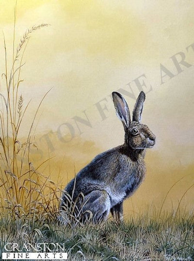 Morning Watch by Julie Askew.