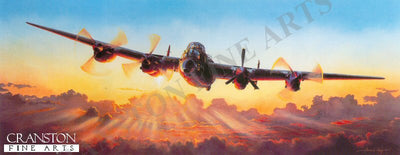 The Long Journey Home by Adrian Rigby.