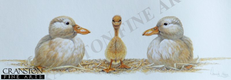 Odd One Out by Warwick Higgs.