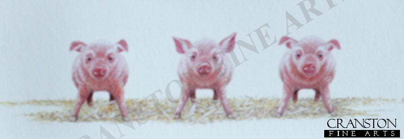 Grown Ups by Warwick Higgs.