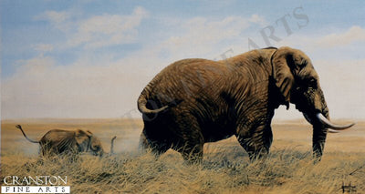 Jumbo Junior by Jonathon Truss
