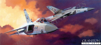 The Peacekeepers by Adrian Rigby.
