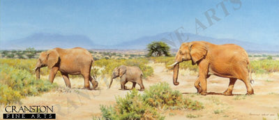 After the Crossing by Norman Ward.