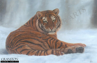 Siberian Snow by Jonathon Truss.