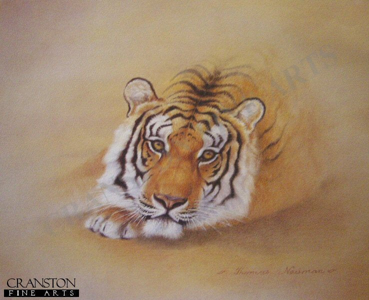 Tiger by Thomas Newman.