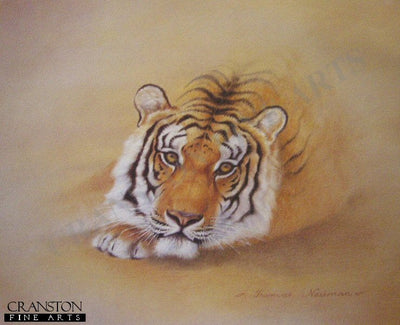 Tiger by Thomas Newman.