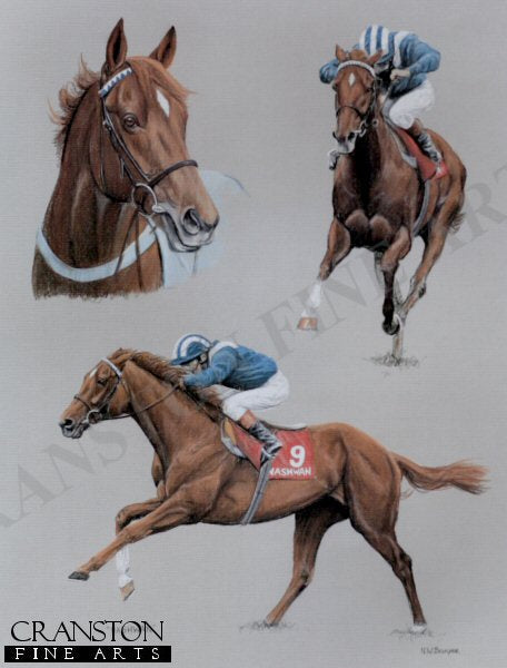 Nashwan by N. W. Brunyee.