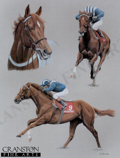 Nashwan by N. W. Brunyee.