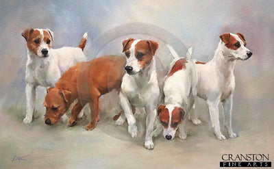 Parson Russell Terriers by Jacqueline Stanhope.