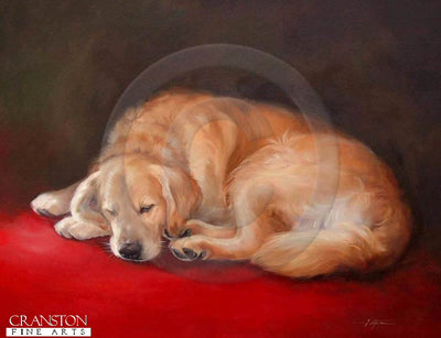 Sleeping Golden Retriever by Jacqueline Stanhope.