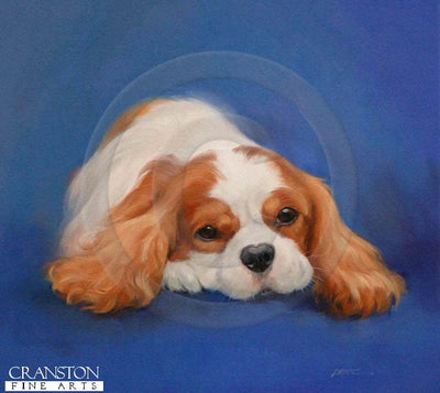 Feeling Blue (Cavalier King Charles Spaniel) by Jacqueline Stanhope.