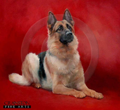 The Watchful Shepherd (German Shepherd Dog) by Jacqueline Stanhope.