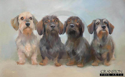 Gang of Four (Miniature Wire Haired Dachshunds) by Jacqueline Stanhope.