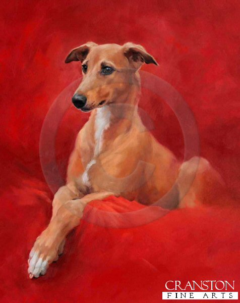 Beau (Young Greyhound) by Jacqueline Stanhope.