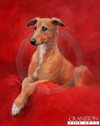 Beau (Young Greyhound) by Jacqueline Stanhope.