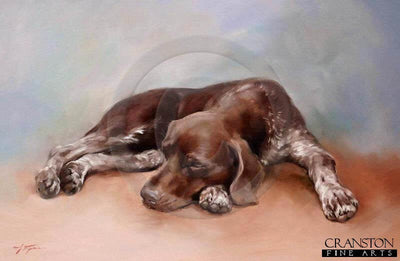 German Shorthaired Pointer by Jacqueline Stanhope.