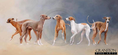 Whippets by Jacqueline Stanhope.