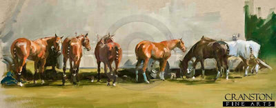 Pony Lines by Jacqueline Stanhope.