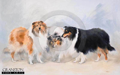 Rough Collies by Jacqueline Stanhope.