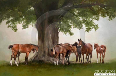 The Oak Tree by Jacqueline Stanhope.