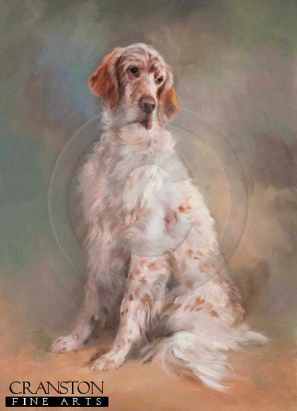English Setter by Jacqueline Stanhope.