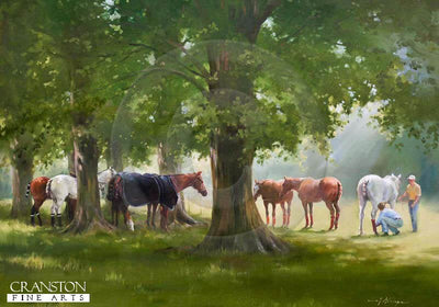 High Summer by Jacqueline Stanhope.