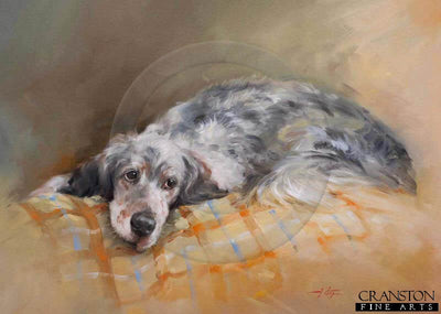 Resting English Setter by Jacqueline Stanhope.