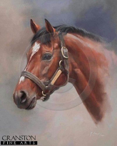 Galileo by Jacqueline Stanhope.