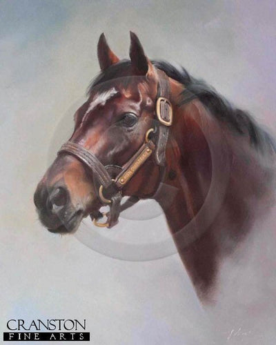 High Chaparral by Jacqueline Stanhope.