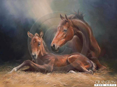 Novus Advena by Jacqueline Stanhope.