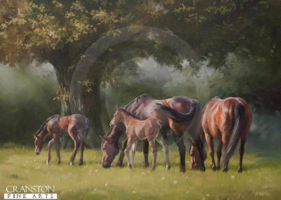 Sunburst by Jacqueline Stanhope.