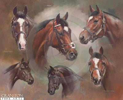 The Frankel Sire Line by Jacqueline Stanhope.