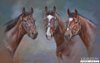 Montjeu, Sadler's Wells and Galileo by Jacqueline Stanhope.