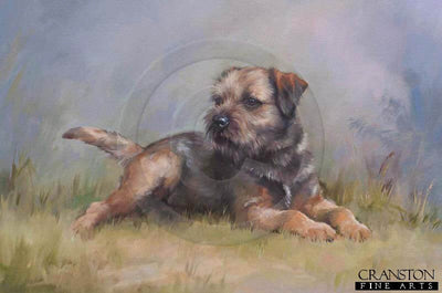 Border Terrier by Jacqueline Stanhope.