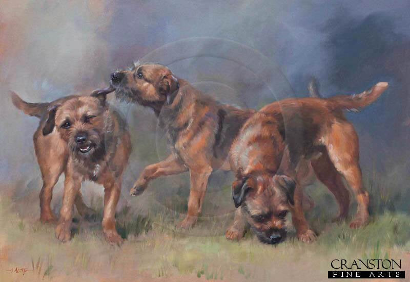 Border Terriers by Jacqueline Stanhope.