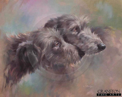 Scottish Deerhounds by Jacqueline Stanhope.