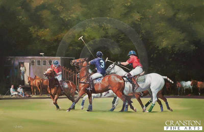 The Sporting Summer by Jacqueline Stanhope.