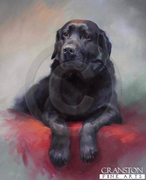Black Labrador Retriever by Jacqueline Stanhope.