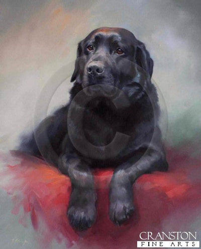 Black Labrador Retriever by Jacqueline Stanhope.