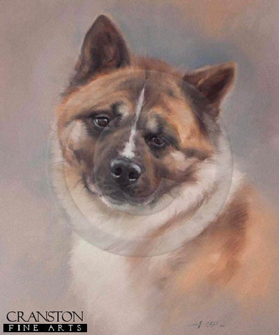 Akita by Jacqueline Stanhope.