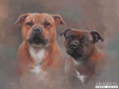 Staffordshire Bull Terriers by Jacqueline Stanhope.