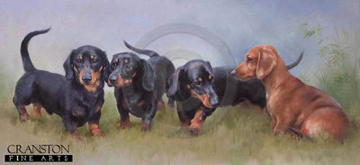 Miniature Smooth Haired Dachshunds by Jacqueline Stanhope.