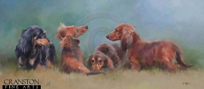 Miniature Long Haired Dachshunds by Jacqueline Stanhope.