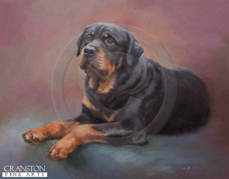 Most Loyal (Rottweiler) by Jacqueline Stanhope.