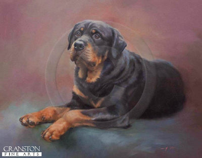 Most Loyal (Rottweiler) by Jacqueline Stanhope.