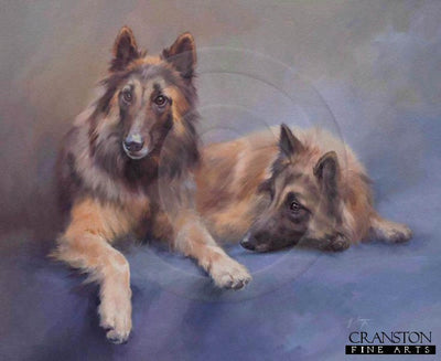 Belgian Shepherd Dogs (Tervueren) by Jacqueline Stanhope.