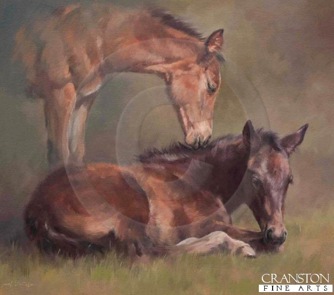 Friendship by Jacqueline Stanhope.