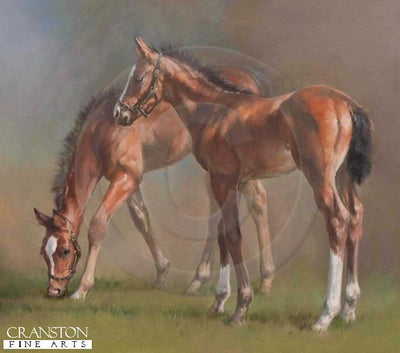 Affinity by Jacqueline Stanhope.