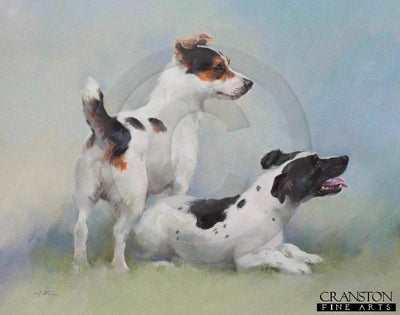 Jack Russell Terriers by Jacqueline Stanhope.